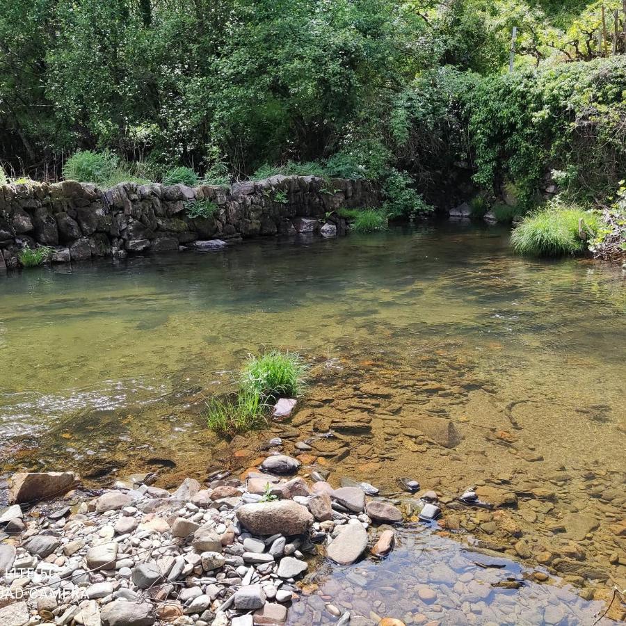 Pampihouse, Luxury Rustic House Near River Pampilhosa da Serra Luaran gambar