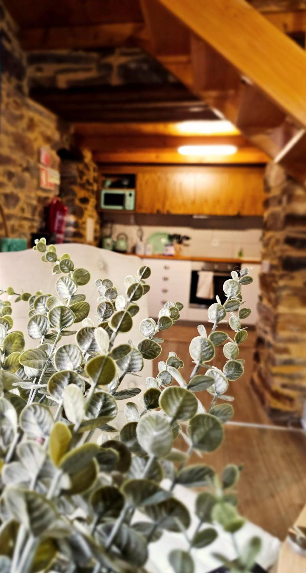 Pampihouse, Luxury Rustic House Near River Pampilhosa da Serra Luaran gambar